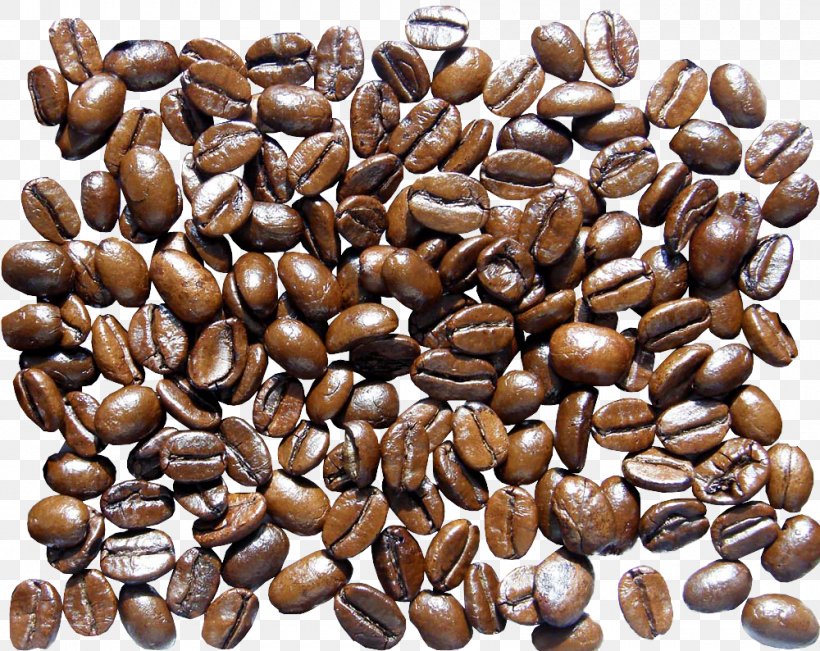 Jamaican Blue Mountain Coffee Coffee Bean Starbucks, PNG, 1000x794px, Coffee, Bean, Coffee Bean, Commodities, Commodity Download Free