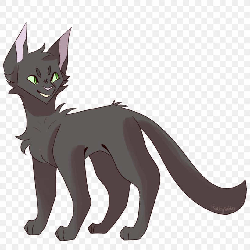Kitten Whiskers Domestic Short-haired Cat Black Cat, PNG, 1024x1024px, Kitten, Black Cat, Canidae, Carnivoran, Cartoon Download Free