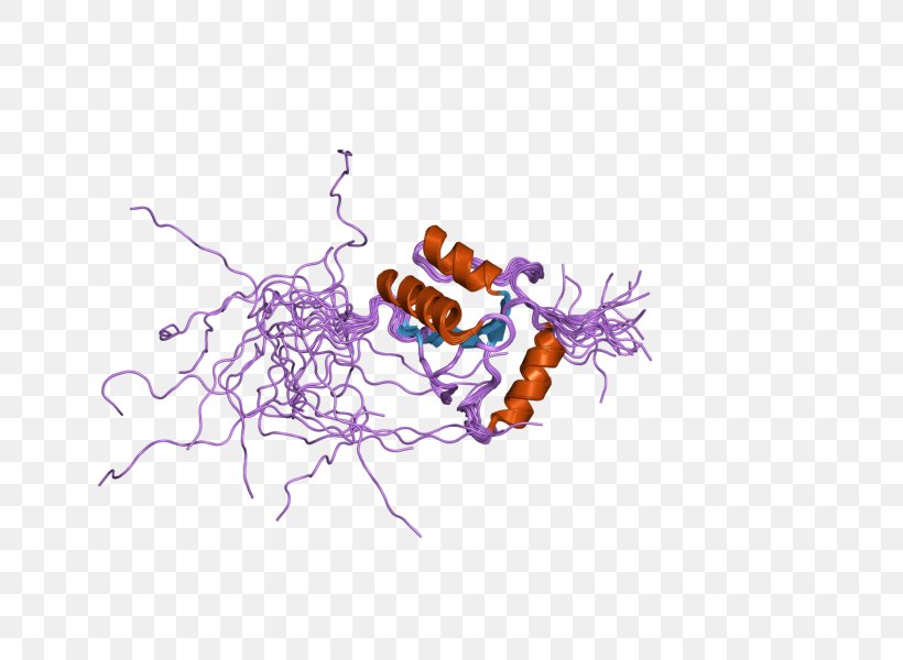 Terminal Deoxynucleotidyl Transferase Enzyme Thiamine DNA, PNG, 800x600px, Enzyme, Art, Cell, Dna, Dna Polymerase Download Free