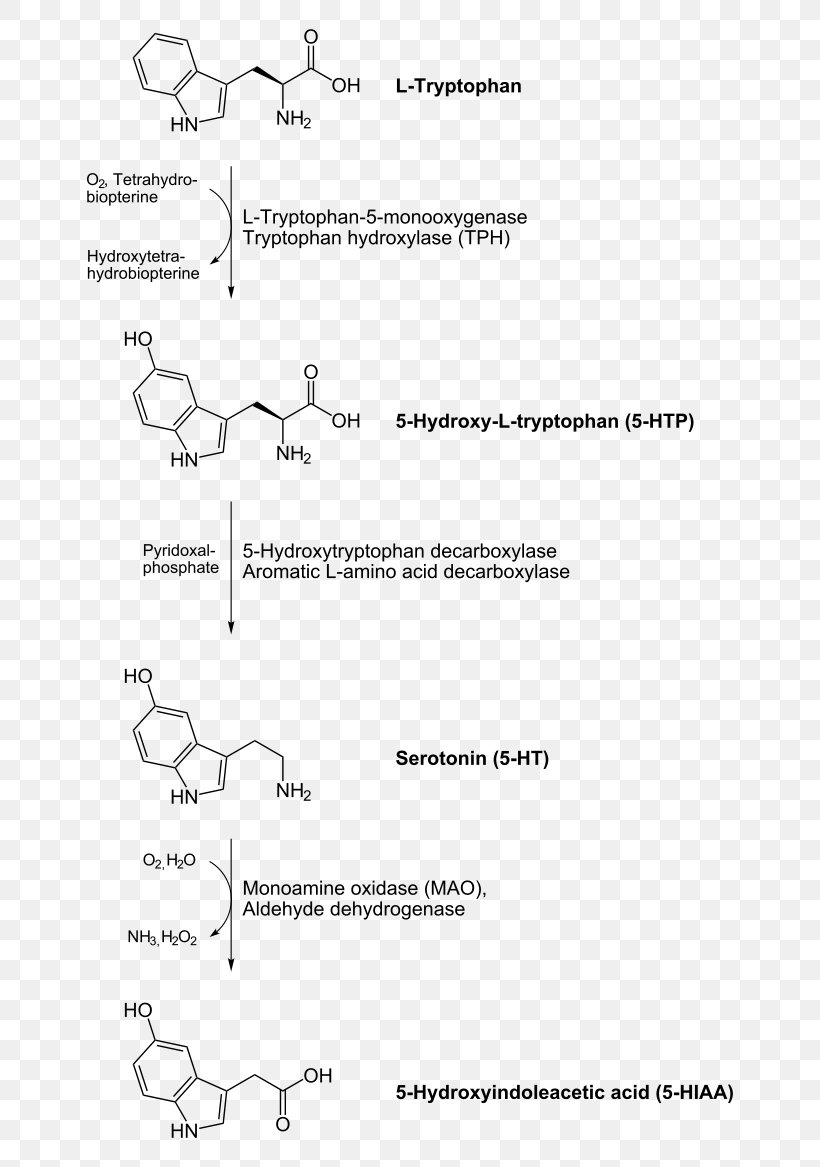 Aromatic L-amino Acid Decarboxylase Inhibitor Levodopa Decarboxylation Carboxy-lyases, PNG, 680x1167px, Aromatic Lamino Acid Decarboxylase, Amino Acid, Area, Aromatic Amino Acid, Biosynthesis Download Free