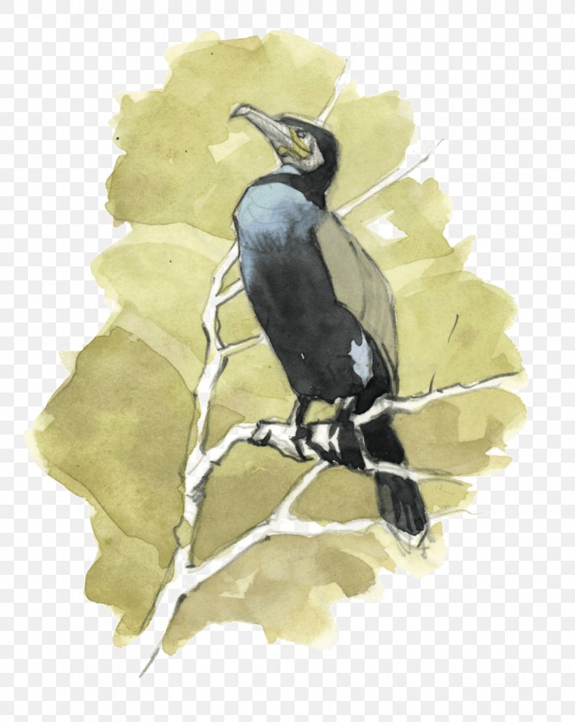 Beak Bird Fauna Hornbill, PNG, 955x1200px, Beak, Bird, Crow Like Bird, Fauna, Hornbill Download Free