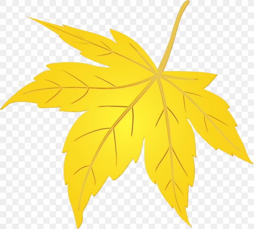 Maple Leaf, PNG, 1028x924px, Watercolor, Black Maple, Leaf, Maple Leaf, Paint Download Free