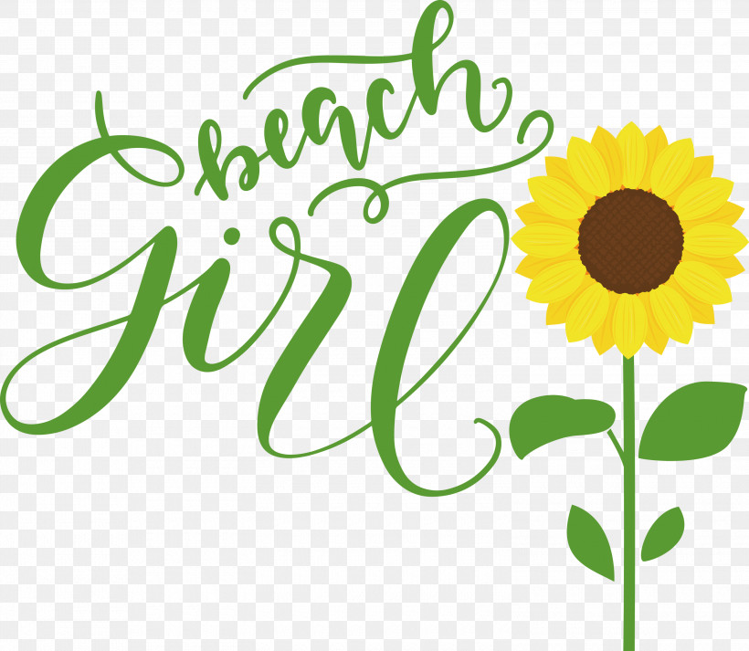 Beach Girl Summer, PNG, 3000x2610px, Beach Girl, Cut Flowers, Daisy Family, Floral Design, Flower Download Free