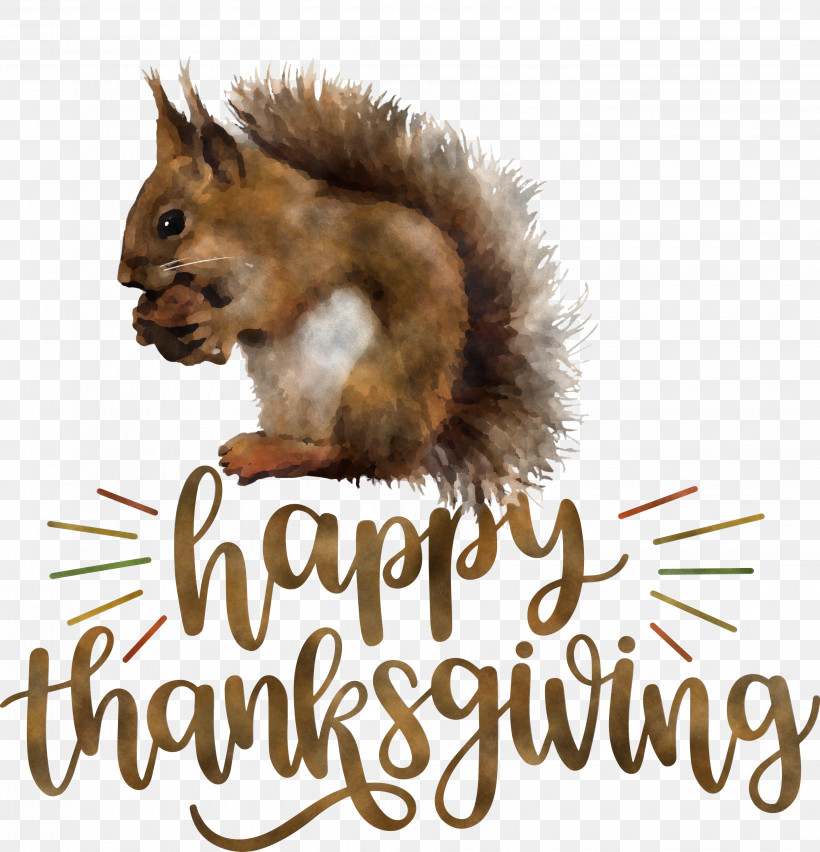 Happy Thanksgiving Thanksgiving Day Thanksgiving, PNG, 2884x3000px, Happy Thanksgiving, Chipmunks, Fur, Meter, Science Download Free