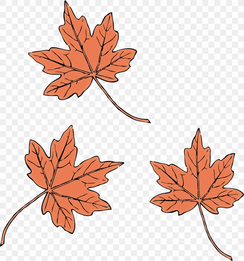 Maple Leaf, PNG, 2450x2618px, Leaf, Black Maple, Flowering Plant, Maple, Maple Leaf Download Free