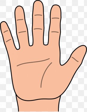 Finger Hand Cartoon, PNG, 512x743px, Cartoon, Animated Cartoon ...