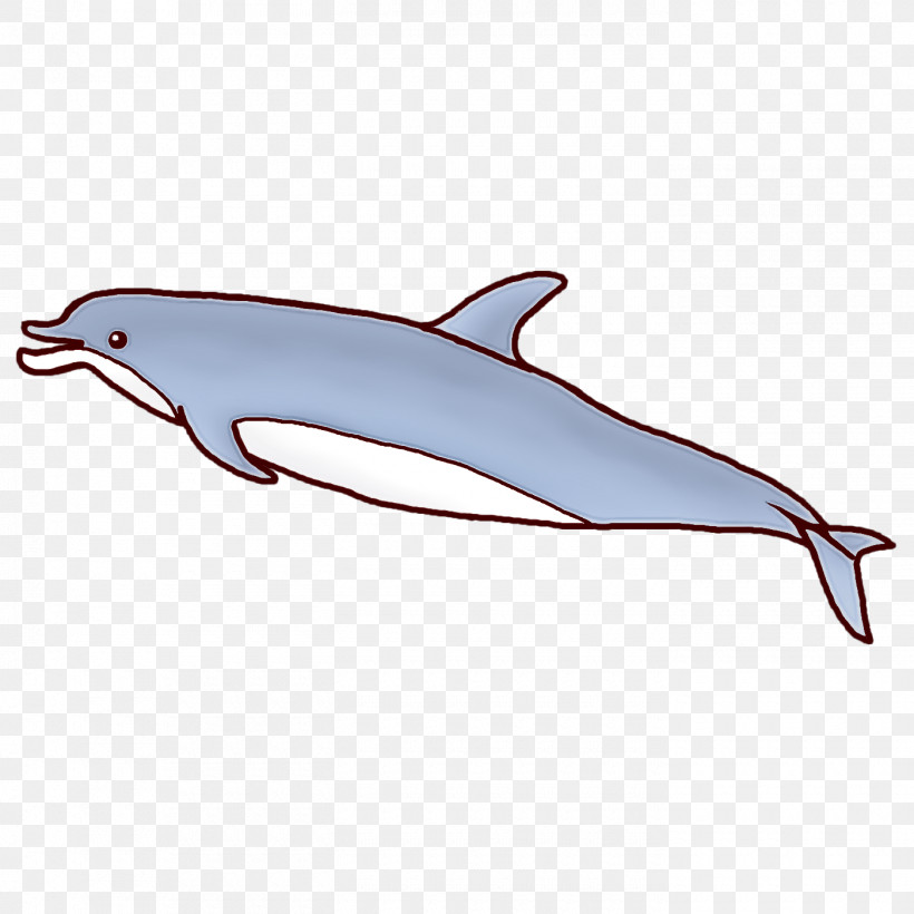 Short-beaked Common Dolphin Rough-toothed Dolphin White-beaked Dolphin Wholphin Porpoise, PNG, 1400x1400px, Shortbeaked Common Dolphin, Bottlenose Dolphin, Cetaceans, Dolphin, Drawing Download Free