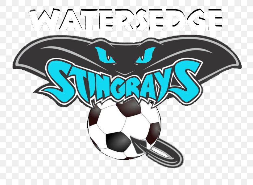 Watersedge Recreation Council Myliobatoidei Manta Ray Football Logo, PNG, 800x600px, Myliobatoidei, Baseball, Brand, Fictional Character, Football Download Free