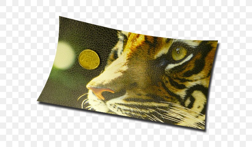 Artificial Leather Digital Printing Ecopelle Fake Fur, PNG, 800x480px, Artificial Leather, Big Cats, Carnivoran, Cat Like Mammal, Classified Advertising Download Free