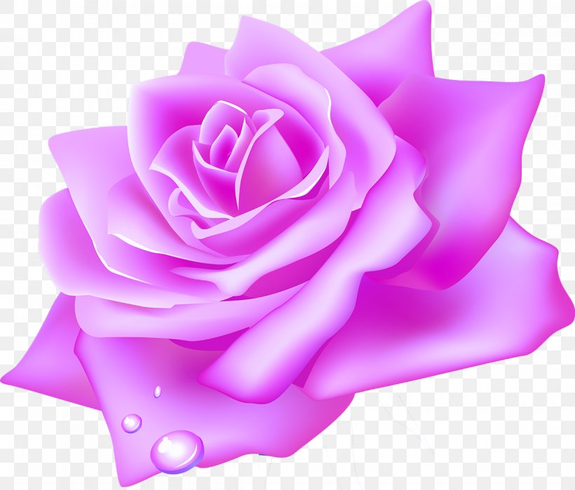 Garden Roses Flower Clip Art, PNG, 1200x1024px, Rose, Cut Flowers, Flower, Flowering Plant, Garden Roses Download Free