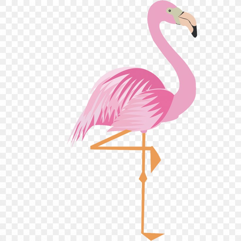 Greater Flamingo Drawing Cartoon, PNG, 1000x1000px, Flamingo, Animation, Beak, Bird, Cartoon Download Free