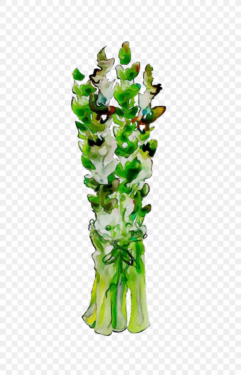 Tree Plant Stem Plants, PNG, 1035x1613px, Tree, Aquarium Decor, Cut Flowers, Flower, Green Download Free