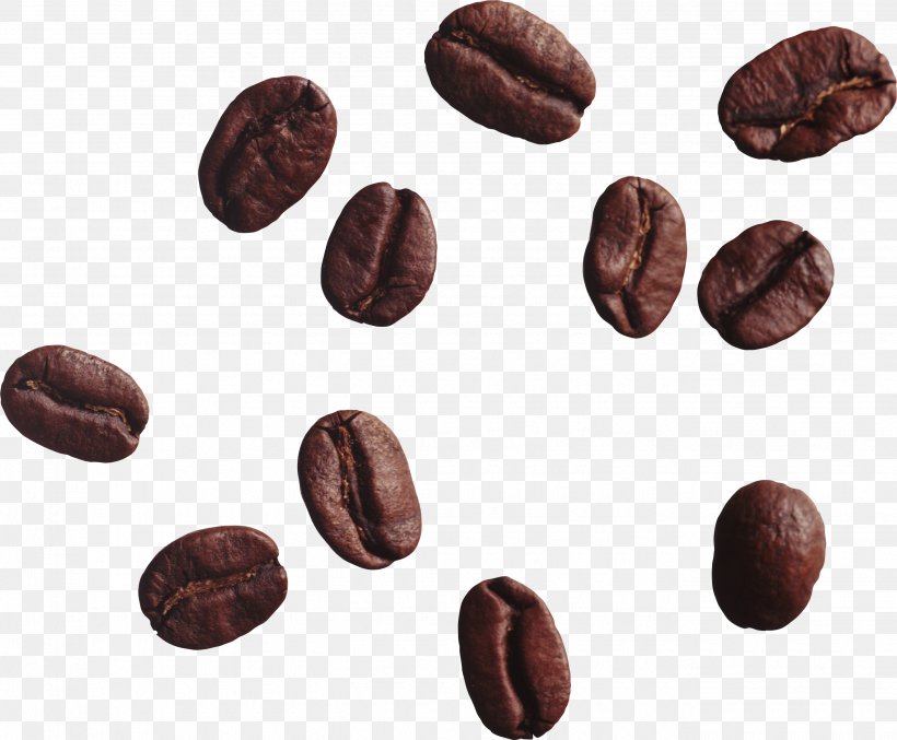 Coffee Bean Tea Cafe Clip Art, PNG, 2650x2188px, Coffee, Bean, Cafe, Chocolate, Cocoa Bean Download Free
