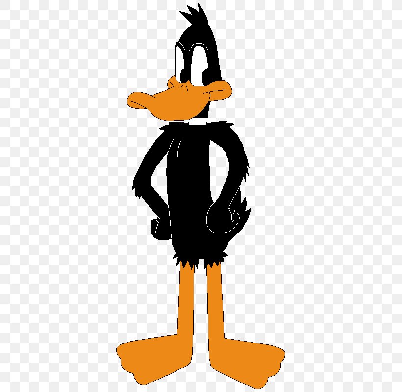 Daffy Duck Plucky Duck Looney Tunes Cartoon, PNG, 356x800px, Duck, Animated Cartoon, Art, Artwork, Beak Download Free