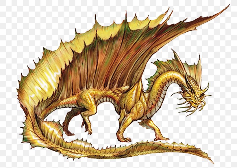 Draconomicon Dungeons & Dragons Gold Metallic Dragon, PNG, 800x582px, Draconomicon, Chinese Dragon, Dragon, Dungeons Dragons, Fantasy Download Free