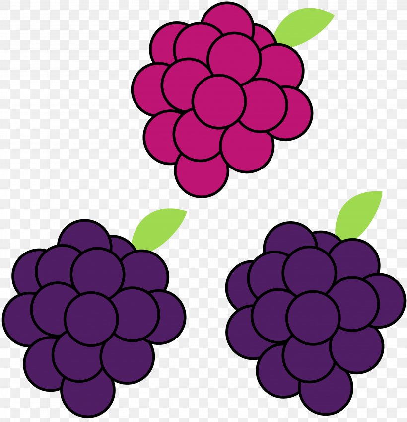 Grape Boysenberry Clip Art, PNG, 2817x2917px, Grape, Art, Berry, Blackberry, Boysenberry Download Free
