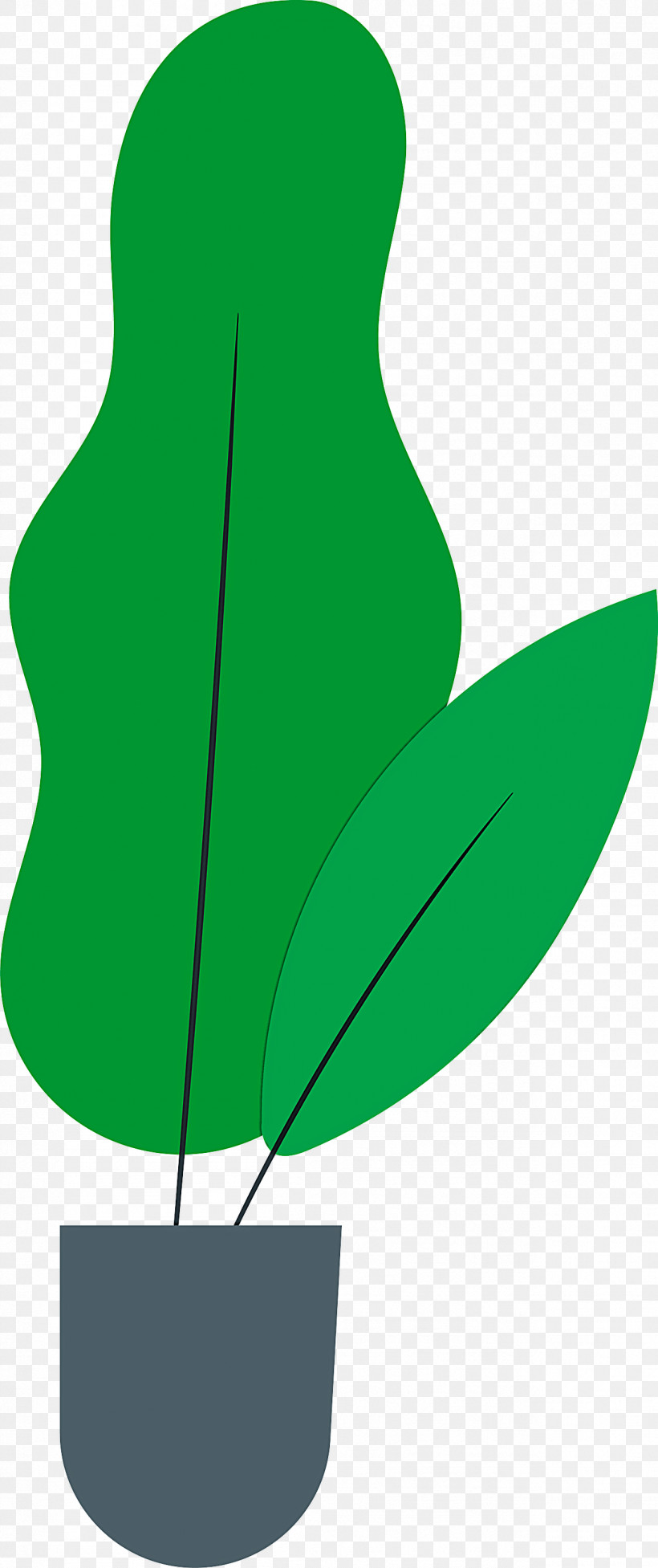 Leaf Plant Stem Flower Branch Petal, PNG, 1259x2999px, Leaf, Biology, Branch, Fig Trees, Flower Download Free