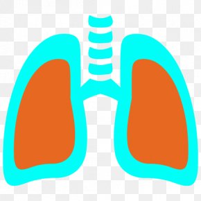 Integumentary System - Logo Clip Art PNG