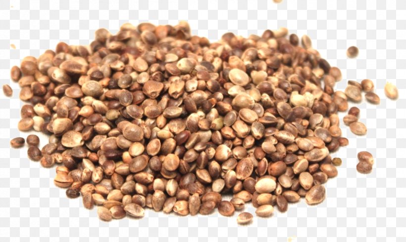Seed Oil Hemp Oil Hemp Oil, PNG, 1191x712px, Seed, Bean, Cannabis, Cannabis Sativa, Carrot Seed Oil Download Free