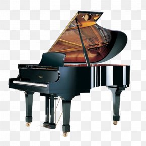Piano - Upright Piano BlÃ¼thner Action Steinway & Sons PNG