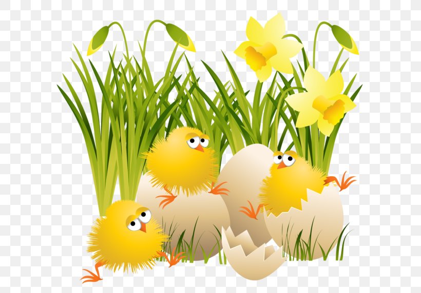 baby chicks easter clipart