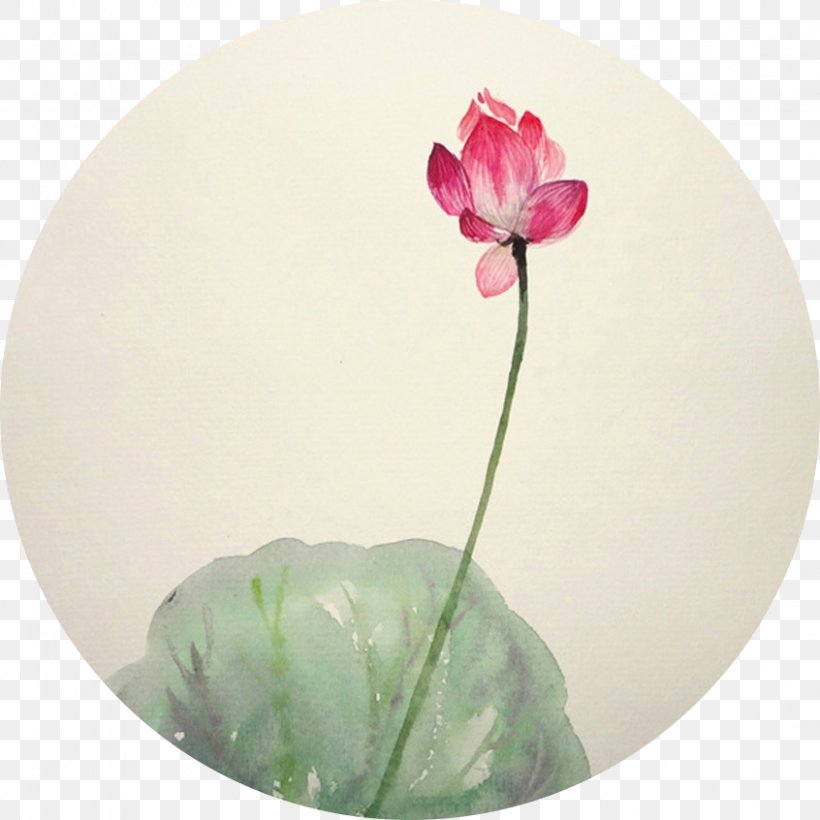 Ink Wash Painting Chinese Painting Watercolor Painting Sacred Lotus Image, PNG, 846x846px, Ink Wash Painting, Chinese Painting, Dishware, Flower, Flowering Plant Download Free