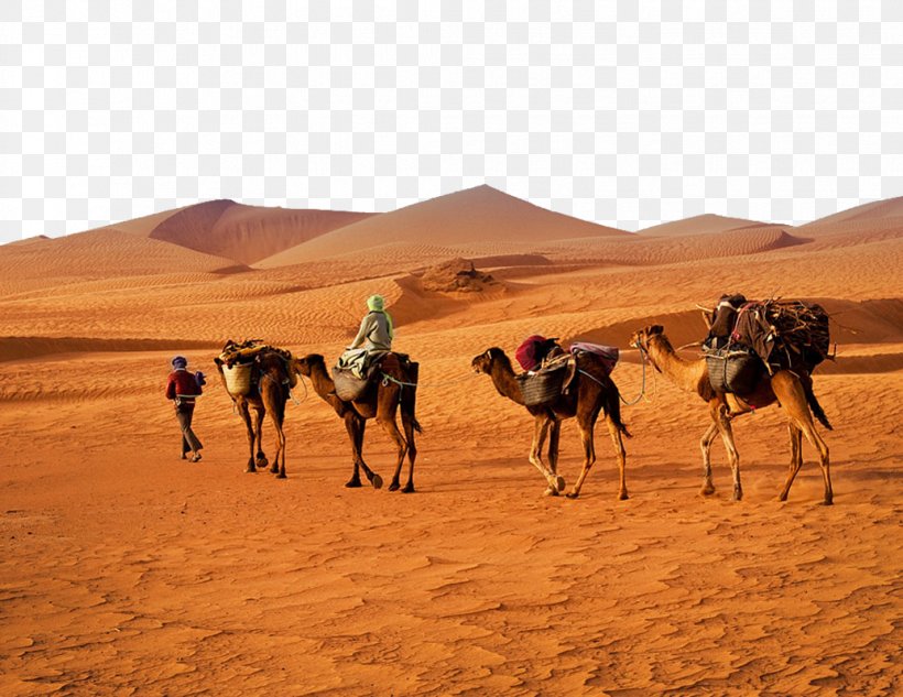 Mau0142e Tablice, PNG, 1035x800px, Geography, Adventure, Aeolian Landform, Arabian Camel, Book Download Free