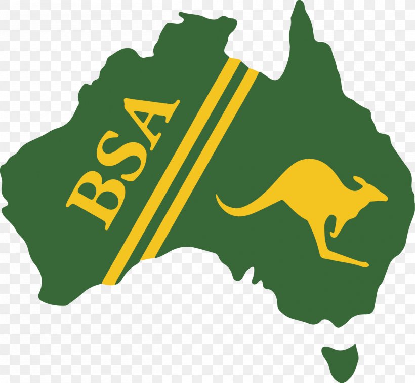 Australian Blind Sports Federation Australian Sports Commission Australia National Blind Cricket Team Australian Institute Of Sport, PNG, 1307x1206px, Australian Sports Commission, Amphibian, Australia, Australian Institute Of Sport, Australian Paralympic Committee Download Free