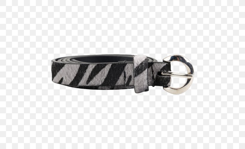 Belt Buckles Dog Collar Leash, PNG, 500x500px, Belt, Belt Buckle, Belt Buckles, Buckle, Collar Download Free