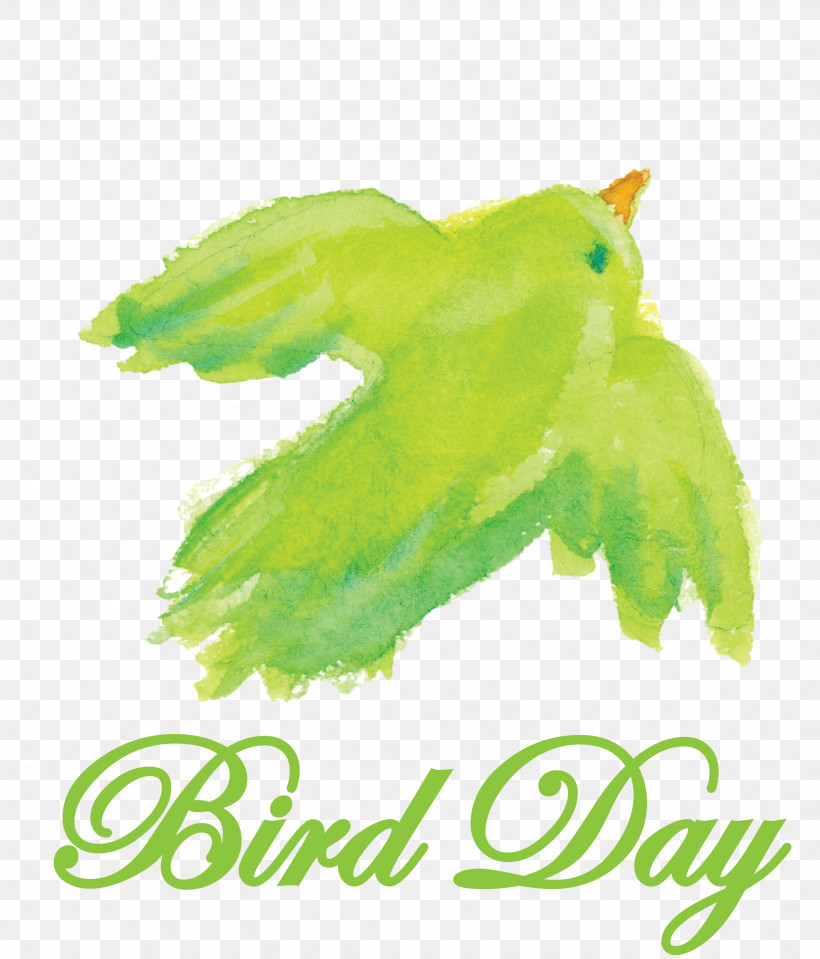 Bird Day Happy Bird Day International Bird Day, PNG, 2564x3000px, Bird Day, Biology, Corporation, Day Spa, Green Download Free