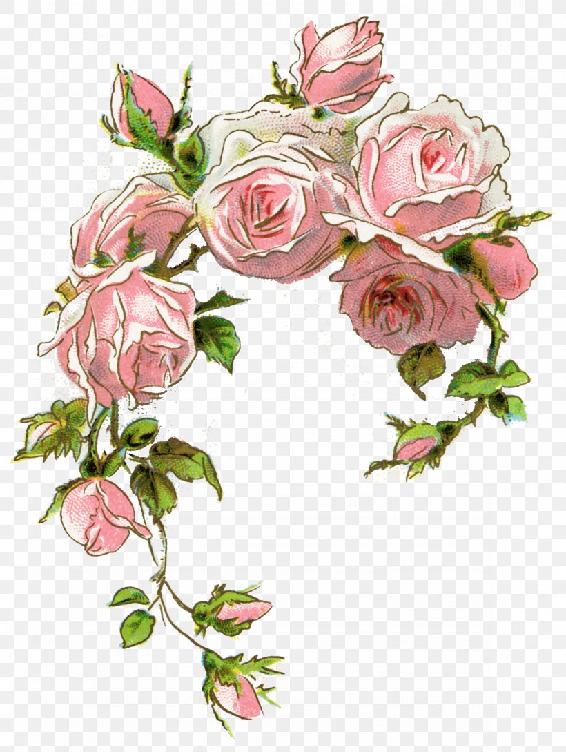 Clip Art Rose Pink Illustration Image, PNG, 1176x1563px, Rose, Antique, Artificial Flower, Branch, Cut Flowers Download Free