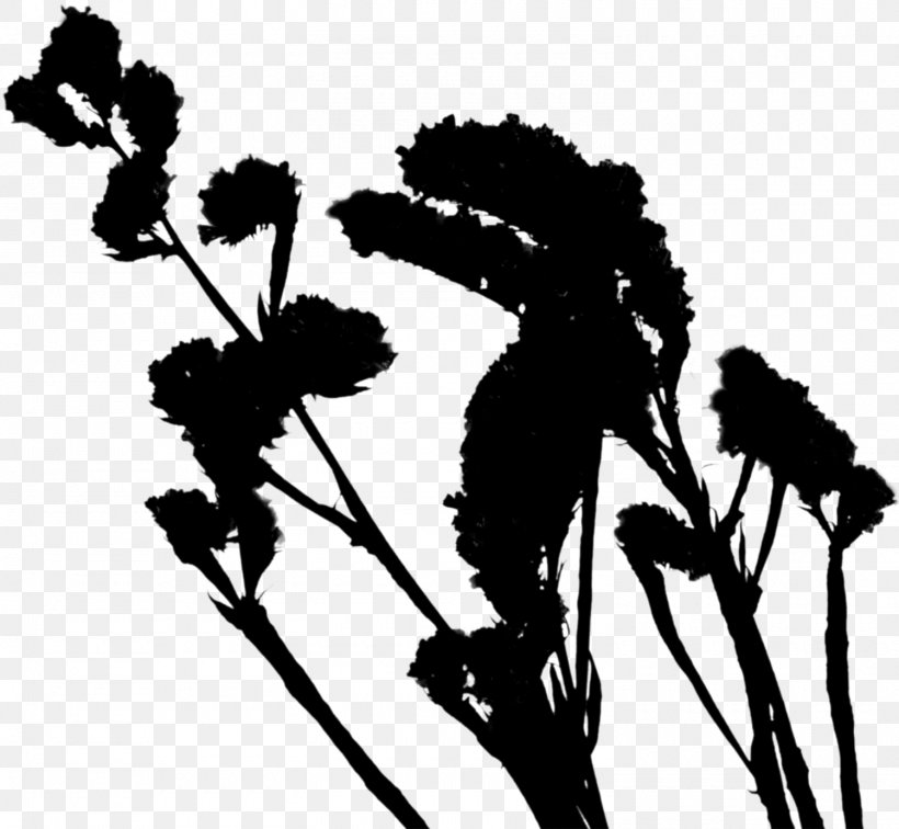 Flowering Plant Silhouette Font Plants, PNG, 1500x1383px, Flower, Blackandwhite, Flowering Plant, Heracleum Plant, Plant Download Free