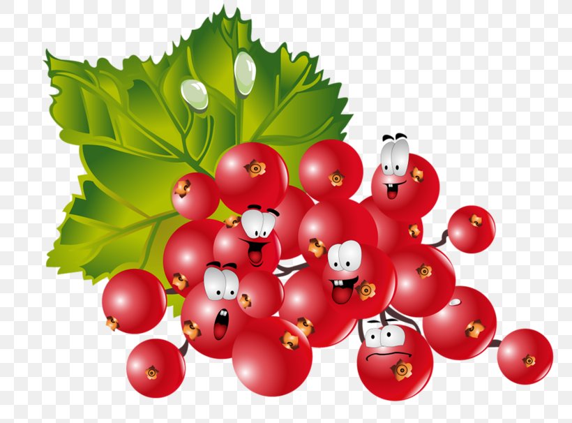 Fruit Berries Vegetable Clip Art Food, PNG, 800x606px, Fruit, Aquifoliaceae, Aubergines, Berries, Berry Download Free