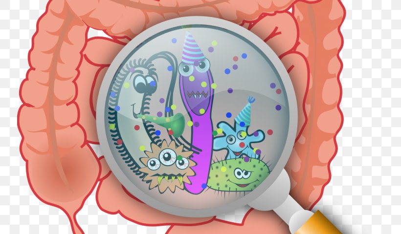 Gut Flora Microbiota Gastrointestinal Tract Bacteria Dysbiosis, PNG, 750x479px, Watercolor, Cartoon, Flower, Frame, Heart Download Free