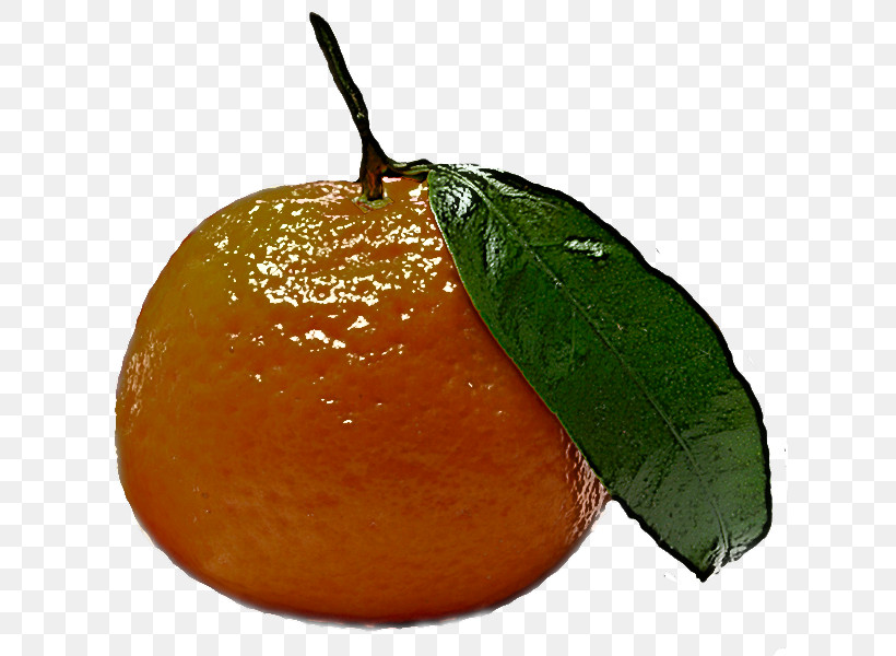 Orange, PNG, 622x600px, Fruit, Bitter Orange, Citrus, Clementine, Food Download Free