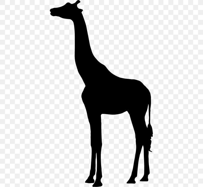 Silhouette Clip Art, PNG, 417x754px, Silhouette, Black And White, Fauna, Giraffe, Giraffidae Download Free