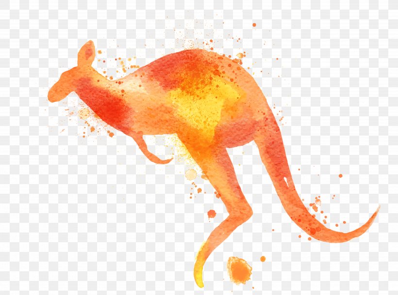 Macropodidae Watercolor Painting Kangaroo, PNG, 5000x3715px, Macropodidae, Animal, Art, Blue, Cartoon Download Free