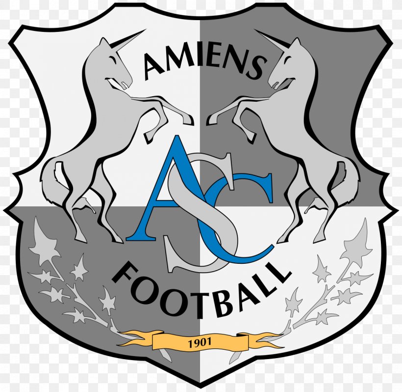 Amiens SC Stade De La Licorne Paris Saint-Germain F.C. 2017–18 Ligue 1 Coupe De La Ligue, PNG, 1200x1168px, Amiens Sc, Amiens, Area, Artwork, Brand Download Free