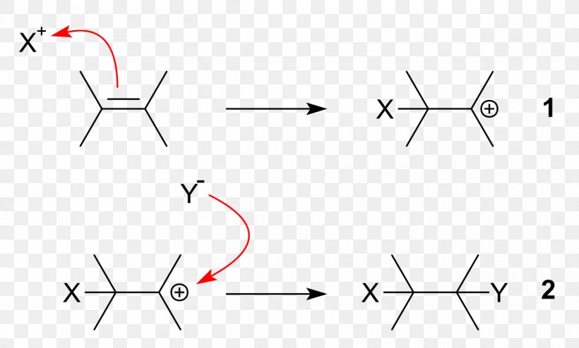 Electrophilic Addition Electrophile Addition Reaction Markovnikov's Rule Double Bond, PNG, 1200x724px, Electrophilic Addition, Addition Reaction, Area, Carbocation, Chemical Bond Download Free