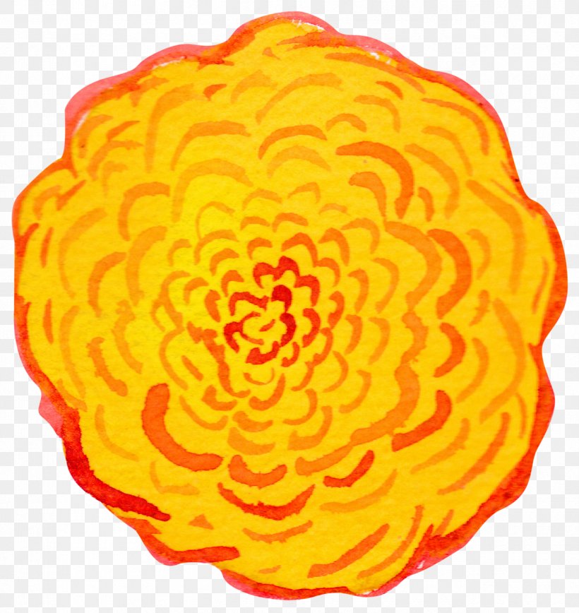 Flower Petal Yellow Food Organism, PNG, 1274x1350px, Flower, Food, Orange, Organism, Petal Download Free