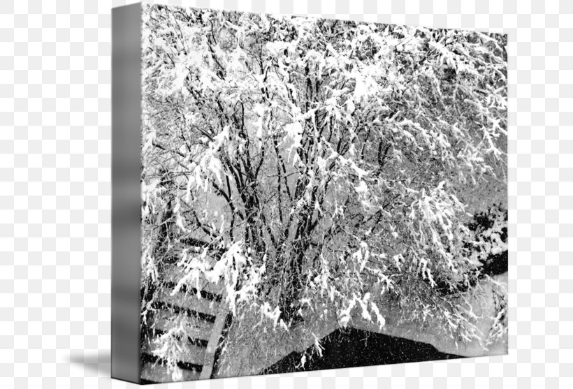 Gallery Wrap Canvas Stock Photography Art, PNG, 650x557px, Gallery Wrap, Art, Black And White, Blizzard, Canvas Download Free