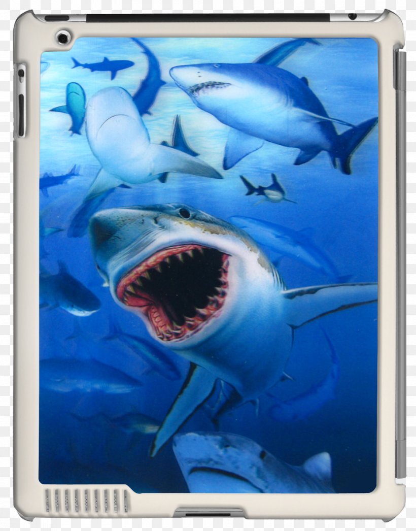 Great White Shark IPad 3 IPad 2 Tiger Shark Lenticular Printing, PNG, 940x1200px, Great White Shark, Carcharhiniformes, Cartilaginous Fish, Electric Blue, Fish Download Free