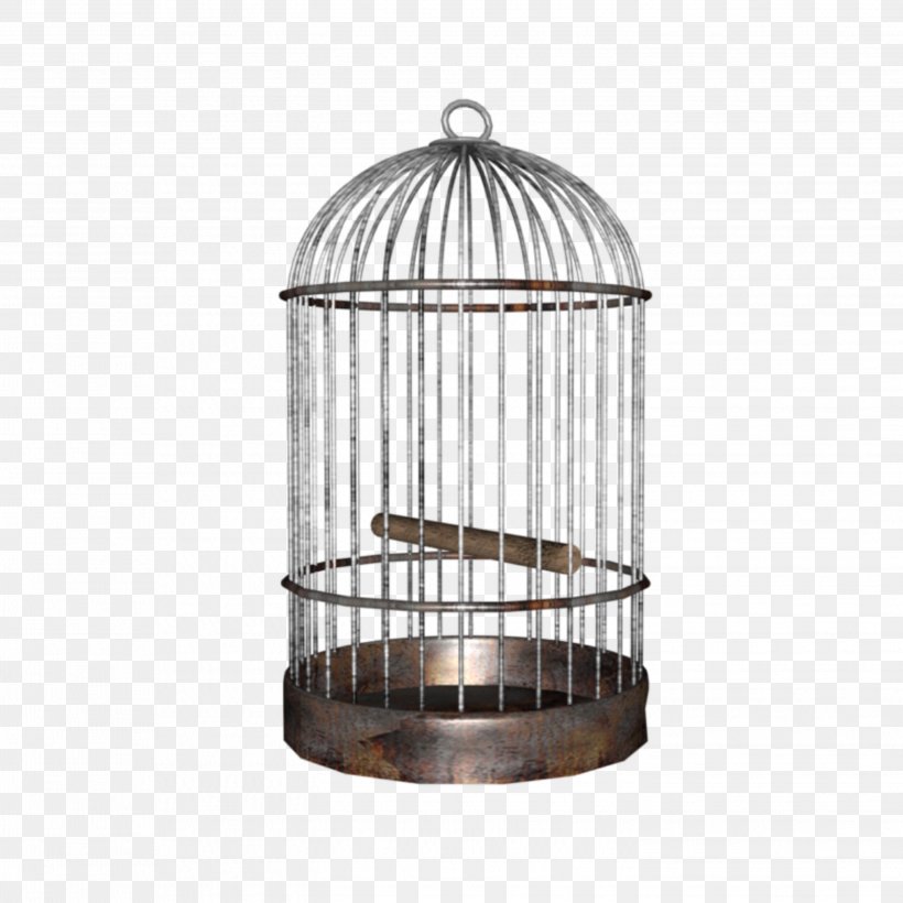 Lovebird Budgerigar Parrot Birdcage, PNG, 2896x2896px, Bird, Animal, Birdcage, Budgerigar, Cage Download Free