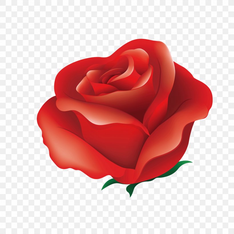 Rose Red Pink Illustration, PNG, 1500x1500px, Flower, Art, Flowering Plant, Garden Roses, Heart Download Free