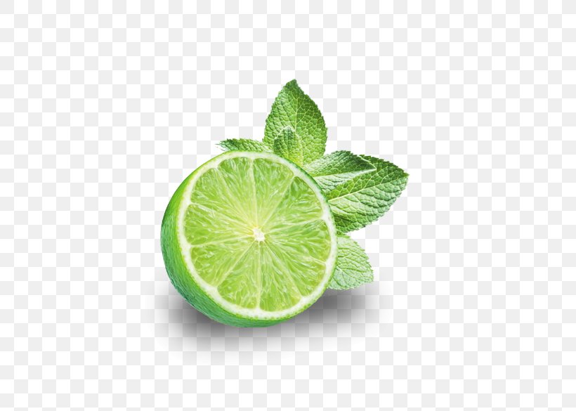 Tea Cocktail Key Lime Cup, PNG, 734x585px, Tea, Citric Acid, Citrus, Cocktail, Company Download Free