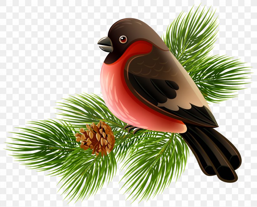 Bird Clip Art, PNG, 5862x4732px, Bird, Beak, Christmas Ornament, Eurasian Bullfinch, Fauna Download Free