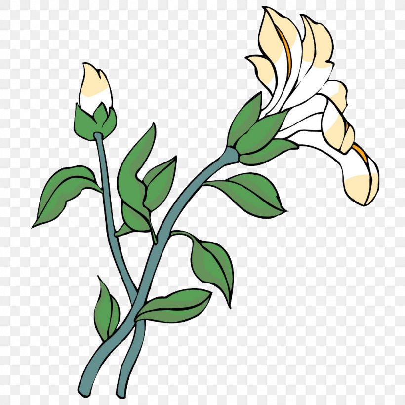 Floral Design Lilium Flower, PNG, 1024x1024px, Watercolor, Cartoon, Flower, Frame, Heart Download Free