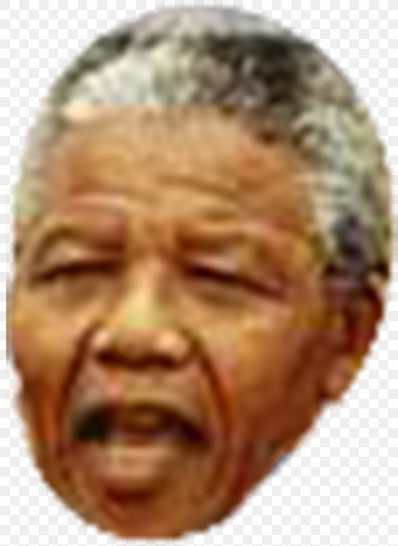 Mandela House Nelson Mandela Apartheid Revolutionary President Of South Africa, PNG, 2000x2740px, Mandela House, Apartheid, Cheek, Chin, Desmond Tutu Download Free