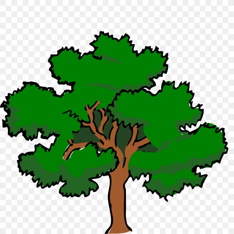 Clip Art Vector Graphics Southern Live Oak Tree, PNG, 1000x1000px, Southern Live Oak, Artwork, Branch, English Oak, Flora Download Free