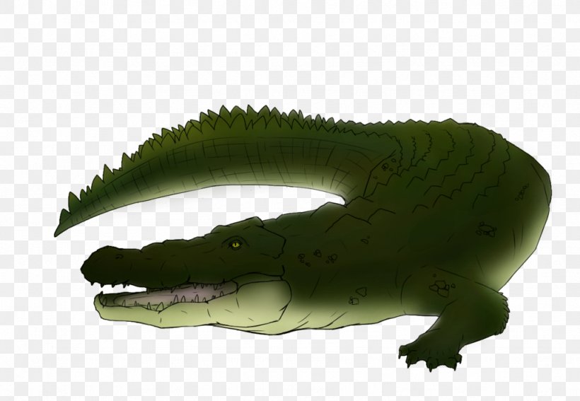 Crocodiles Alligator Saltwater Crocodile Painting Drawing, PNG, 1024x709px, Crocodiles, Alligator, Amphibian, Art, Crocodile Download Free